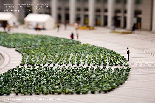 World of little people. Great pictures done with a tilt-shift technique (60 photos)
