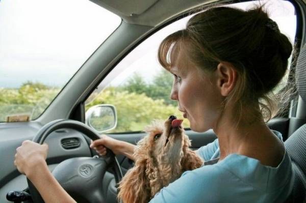 Women and dogs (17 photos)
