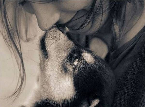 Women and dogs (17 photos)