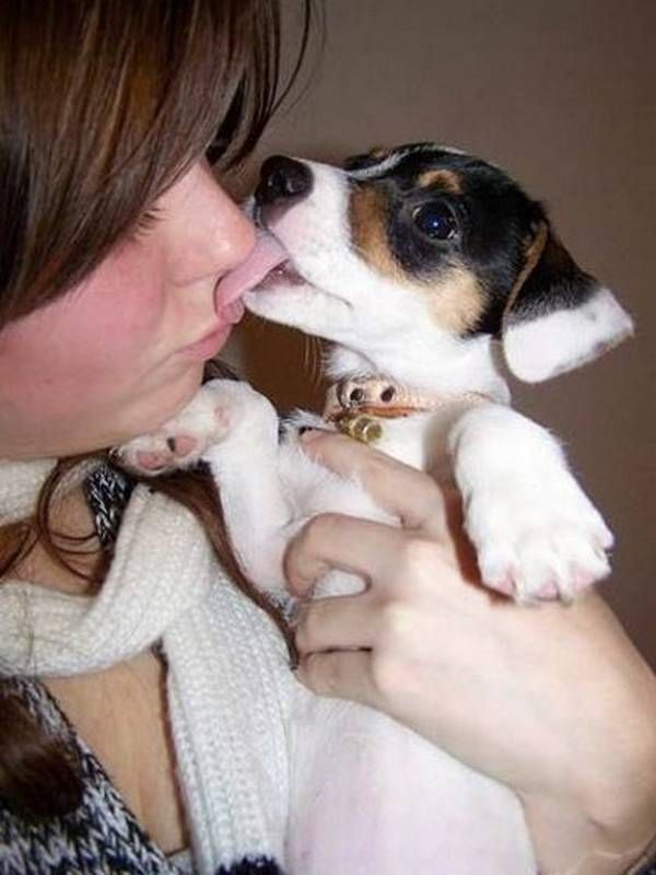 Women and dogs (17 photos)