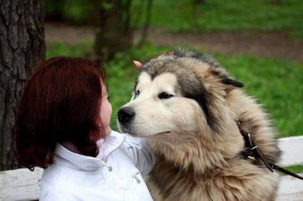 Women and dogs (17 photos)