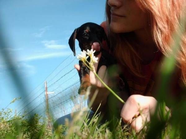 Women and dogs (17 photos)