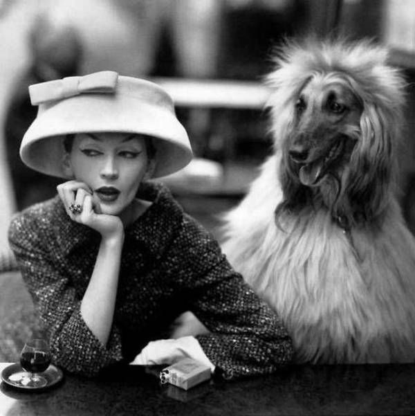 Women and dogs (17 photos)