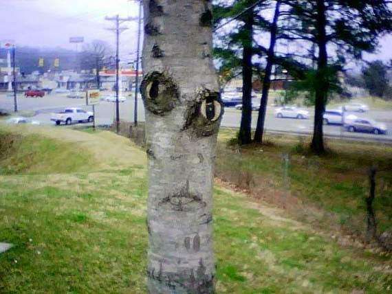 Smile more often :) (24 photos)