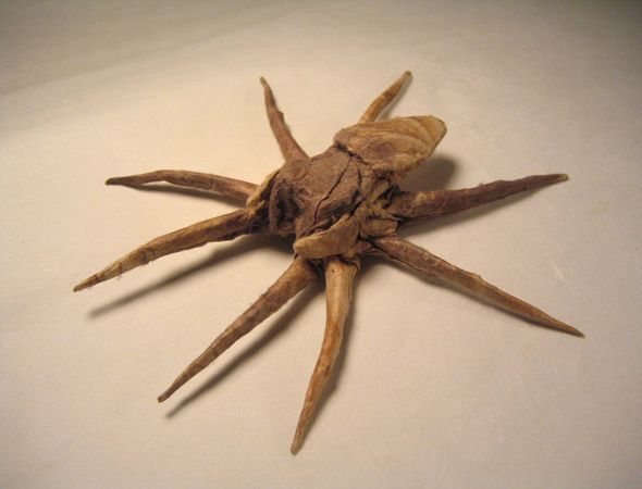 Great stuff made from paper (51 photos)