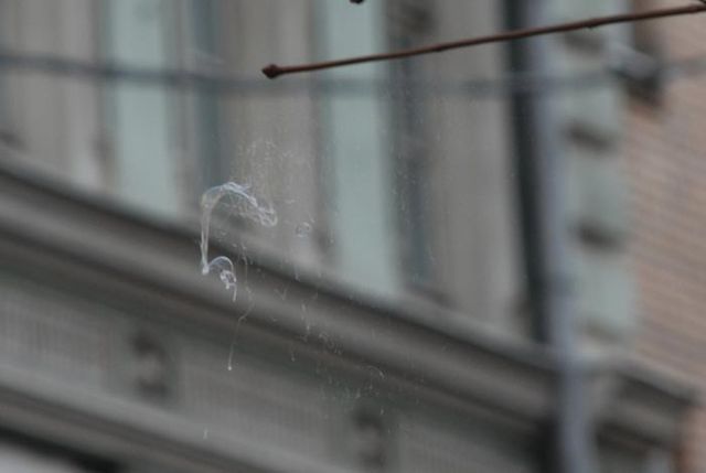 Moscow dreamflash (34 photos)