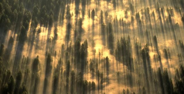 Another series of picture made from above (18 photos)