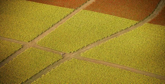Another series of picture made from above (18 photos)