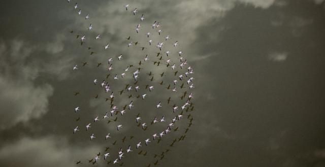 Another series of picture made from above (18 photos)