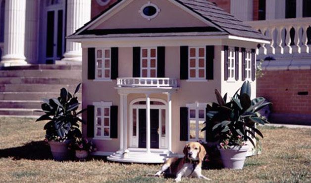 Extreme dog houses (8 photos)