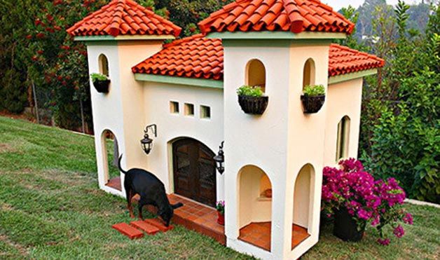 Extreme dog houses (8 photos)
