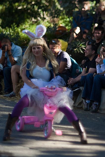 Most funny and unusual race (35 photos)