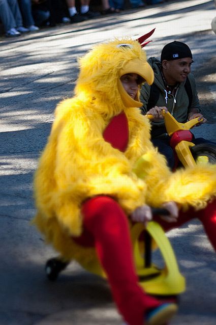 Most funny and unusual race (35 photos)