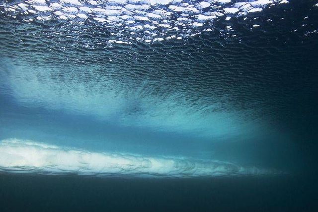 Wild nature of the North (41 photos)
