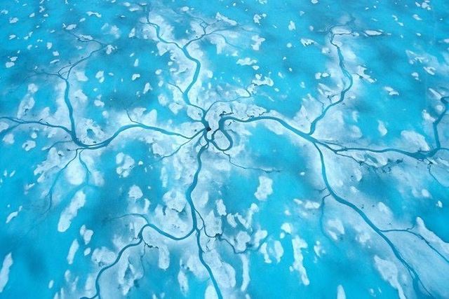 Wild nature of the North (41 photos)