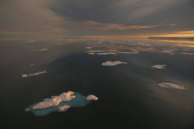 Wild nature of the North (41 photos)