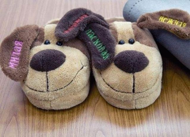 Selection of unusual slippers (18 photos)
