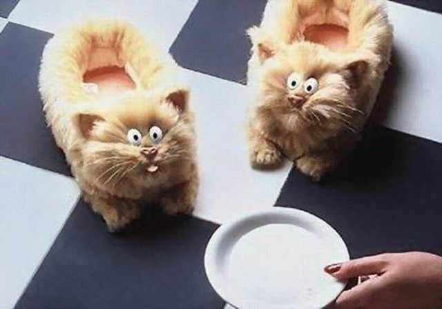 Selection of unusual slippers (18 photos)