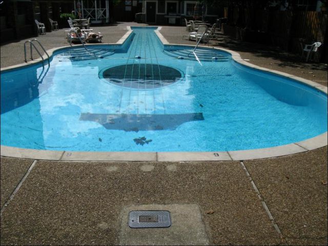 Wanna Swim in the Guitar? (13 pics) Wanna Swim in the Guitar? (13 pics)
