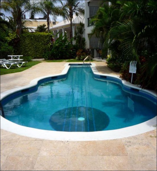 Wanna Swim in the Guitar? (13 pics) Wanna Swim in the Guitar? (13 pics)