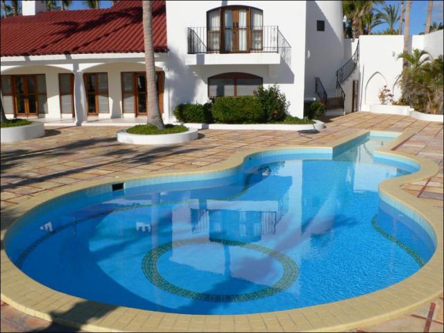 Wanna Swim in the Guitar? (13 pics) Wanna Swim in the Guitar? (13 pics)