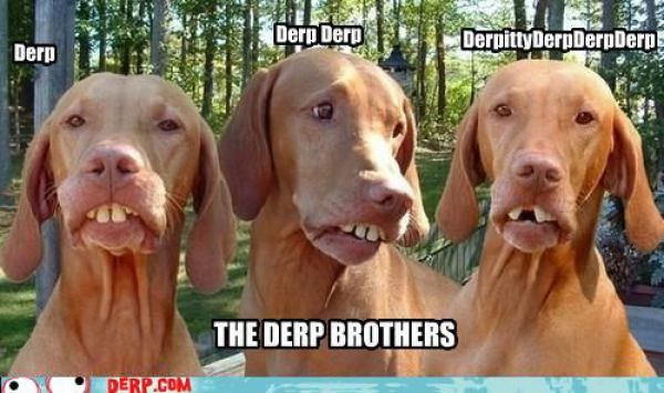 Funny Derp Pictures (72 pics)