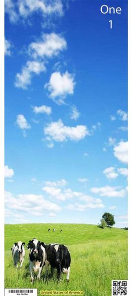 What Will The New Dollar Look Like? What Will The New Dollar Look Like?