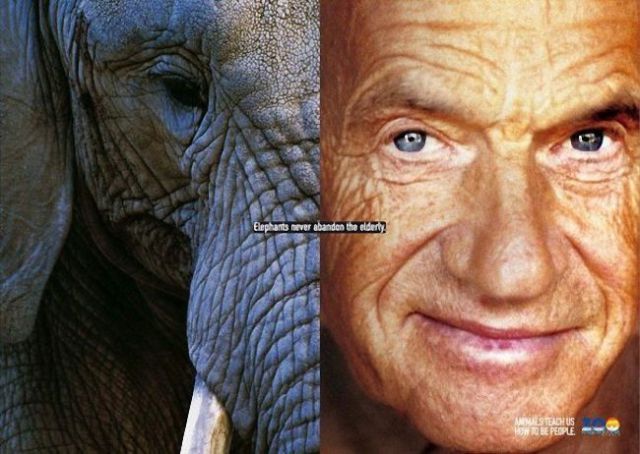 Animals Teach Us How to Be People Animals Teach Us How to Be People