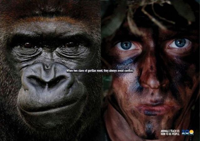 Animals Teach Us How to Be People Animals Teach Us How to Be People