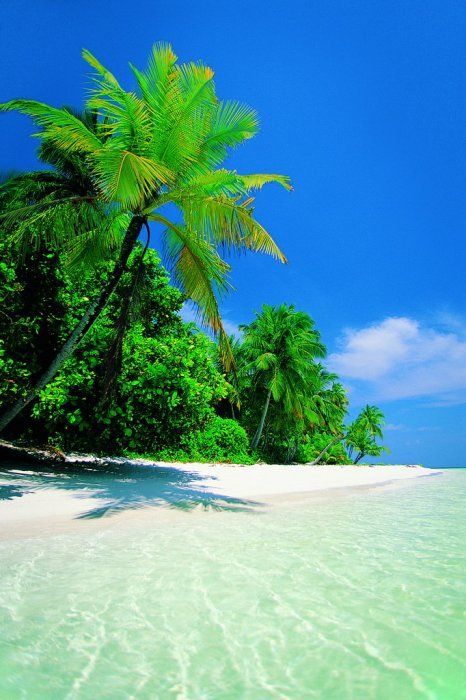 Beautiful beaches. I’d give anything to be there right now ;) (42 ...