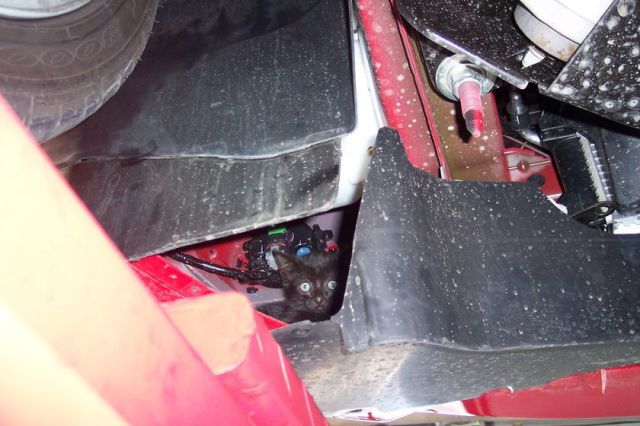 What Can Be Hidden in This Car Bumper? (10 pics)
