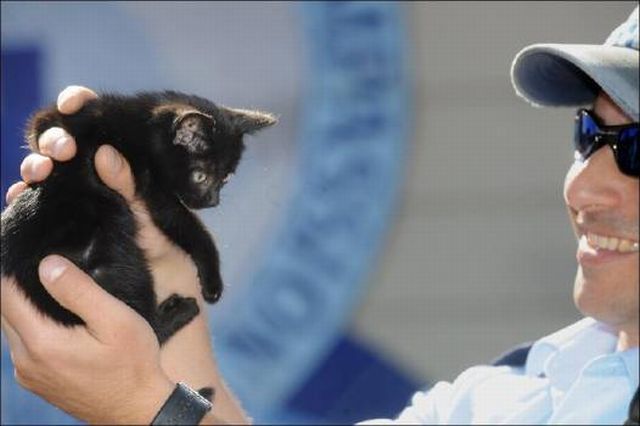 What Can Be Hidden in This Car Bumper? (10 pics)