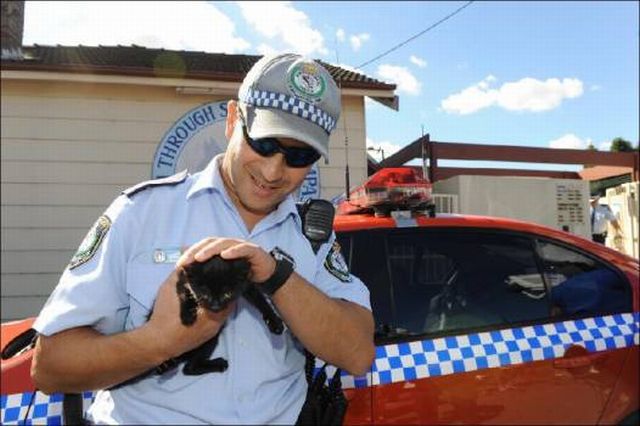 What Can Be Hidden in This Car Bumper? (10 pics)