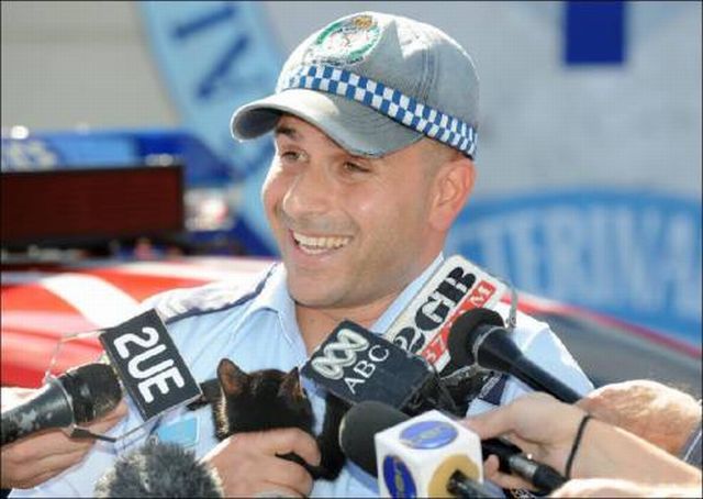 What Can Be Hidden in This Car Bumper? (10 pics)