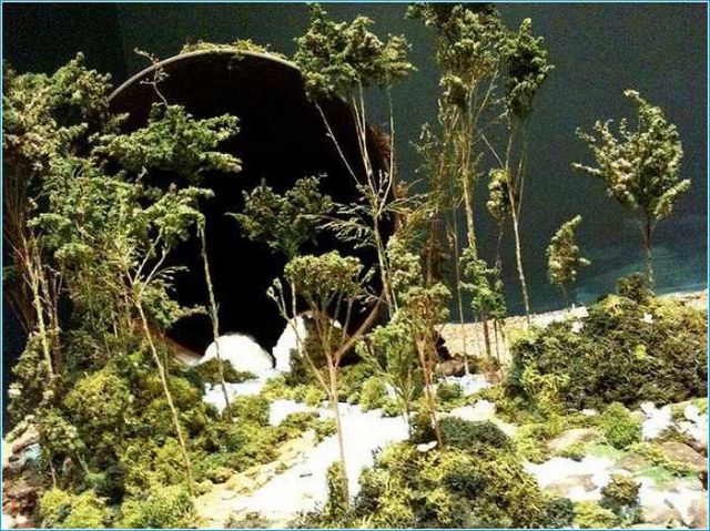 Beautiful Landscape Imitations in Miniature (17 pics)