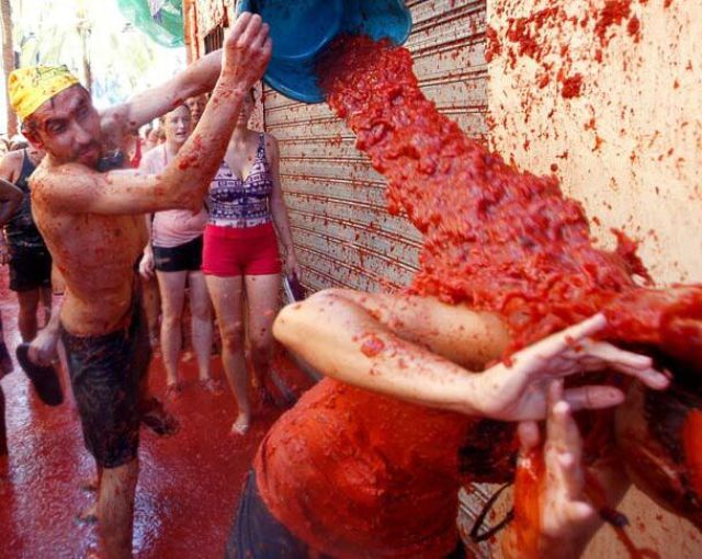 Tomato Fight (64 pics)