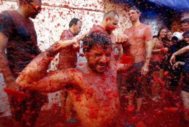 Tomato Fight (64 pics)