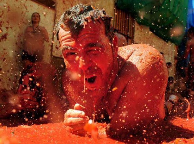 Tomato Fight (64 pics)