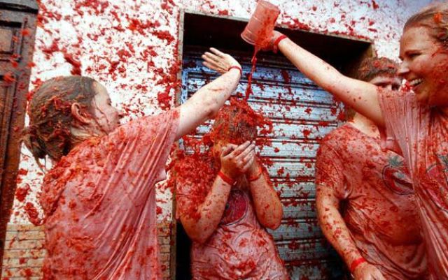 Tomato Fight (64 pics)