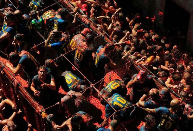 Tomato Fight (64 pics)