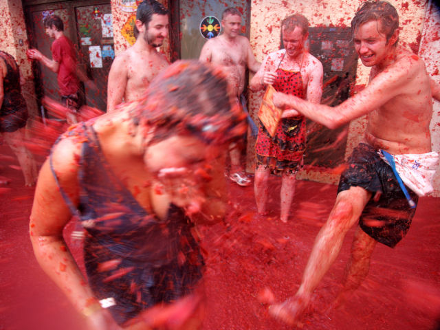 Tomato Fight (64 pics)
