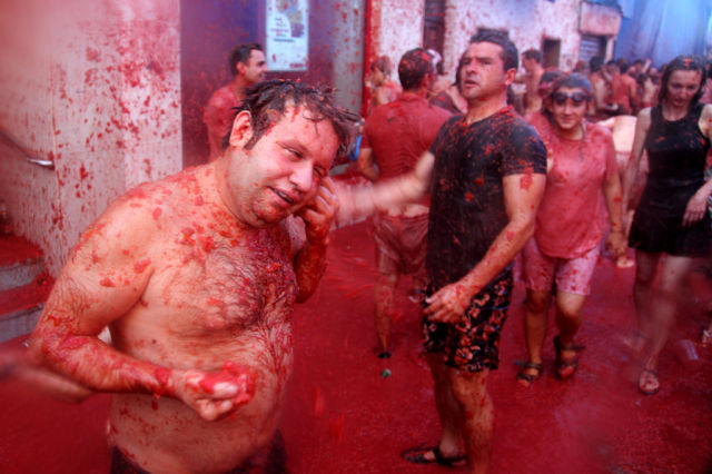 Tomato Fight (64 pics)