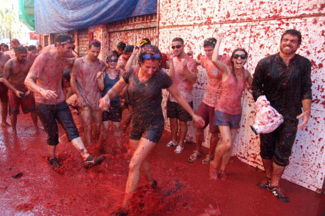 Tomato Fight (64 pics)