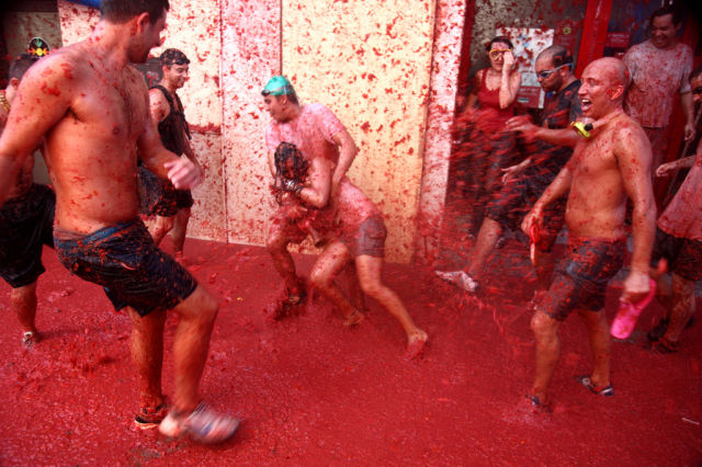 Tomato Fight (64 pics)
