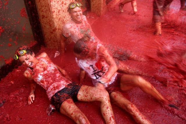 Tomato Fight (64 pics)