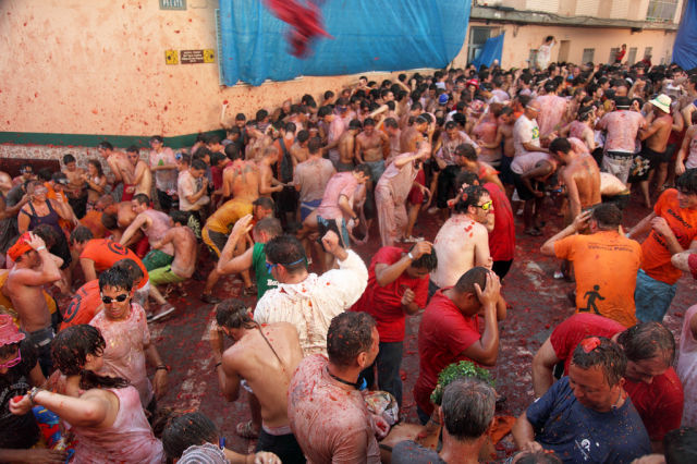 Tomato Fight (64 pics)