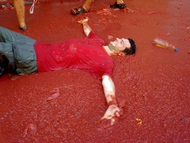 Tomato Fight (64 pics)