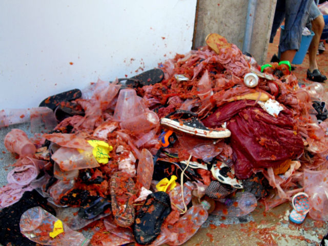 Tomato Fight (64 pics)