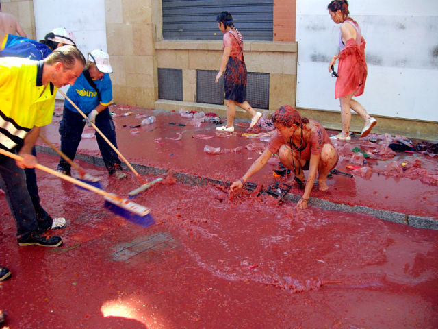Tomato Fight (64 pics)