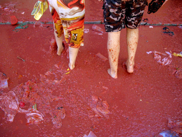 Tomato Fight (64 pics)